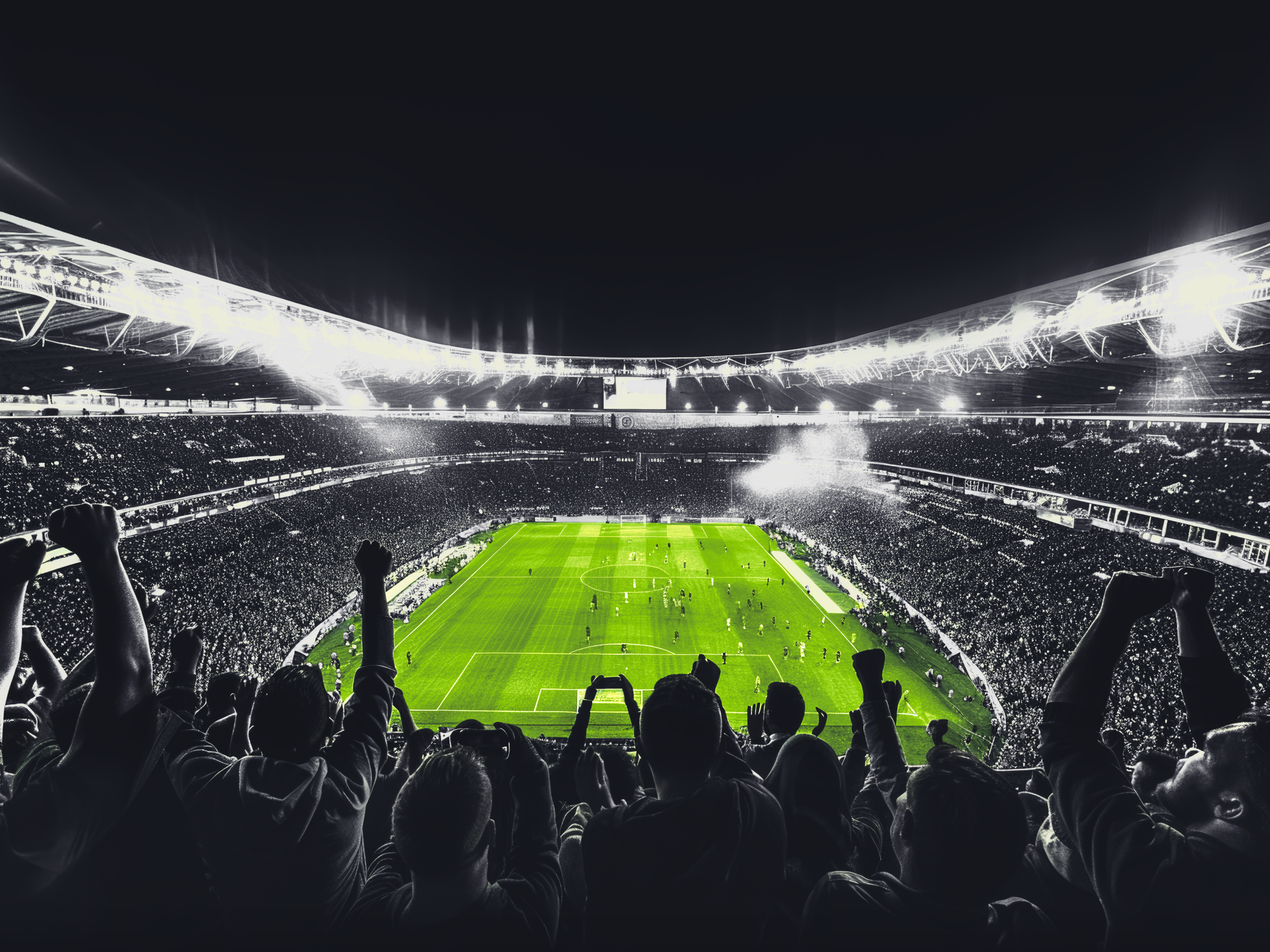 축구 경기장에서 응원하는 관중들